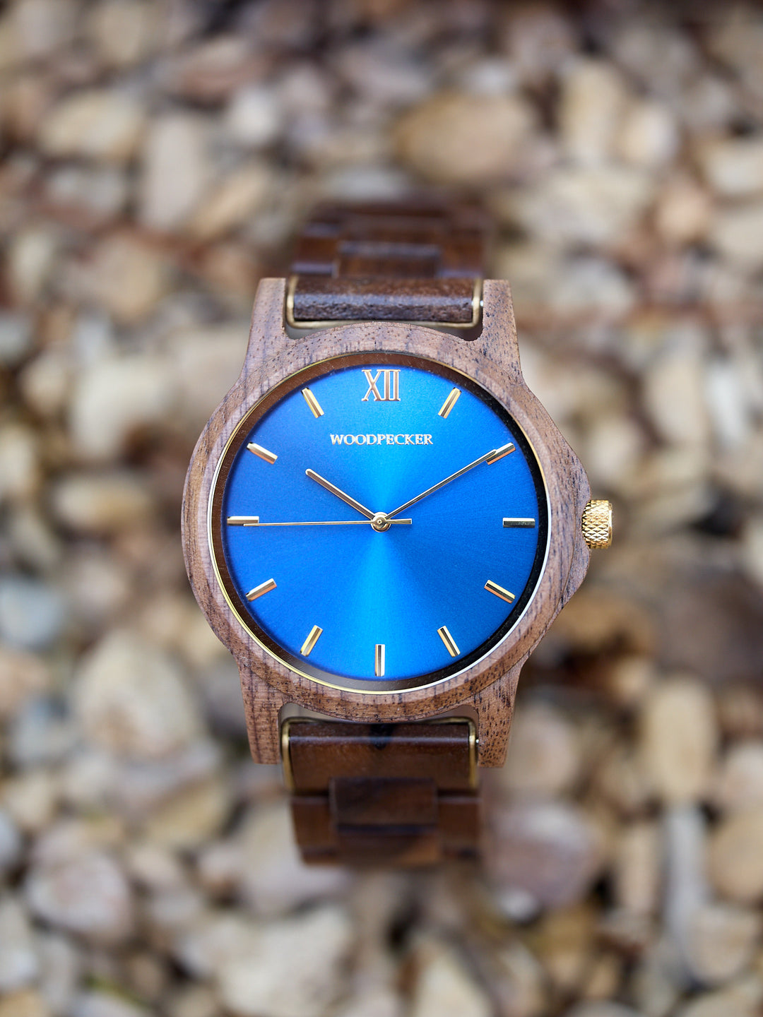 <tc>Midas - Walnoot</tc>