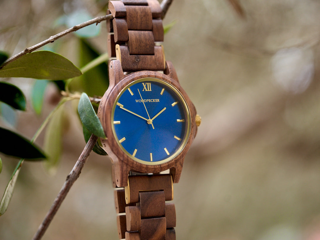 <tc>Midas - Walnoot</tc>